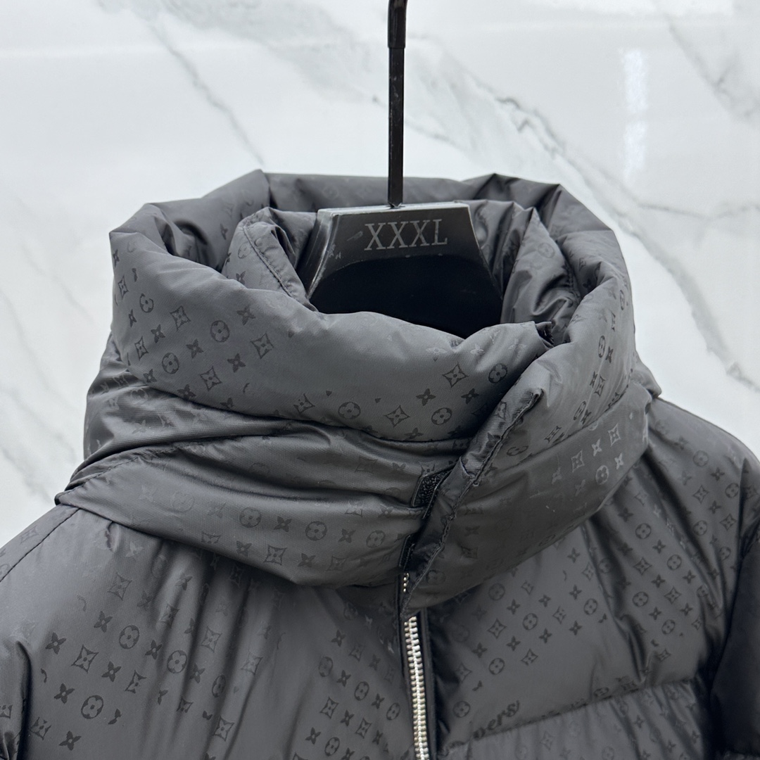 Louis Vuitton Down Jackets